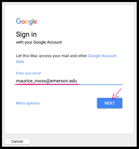Google sign-in screen with an Emerson email typed in