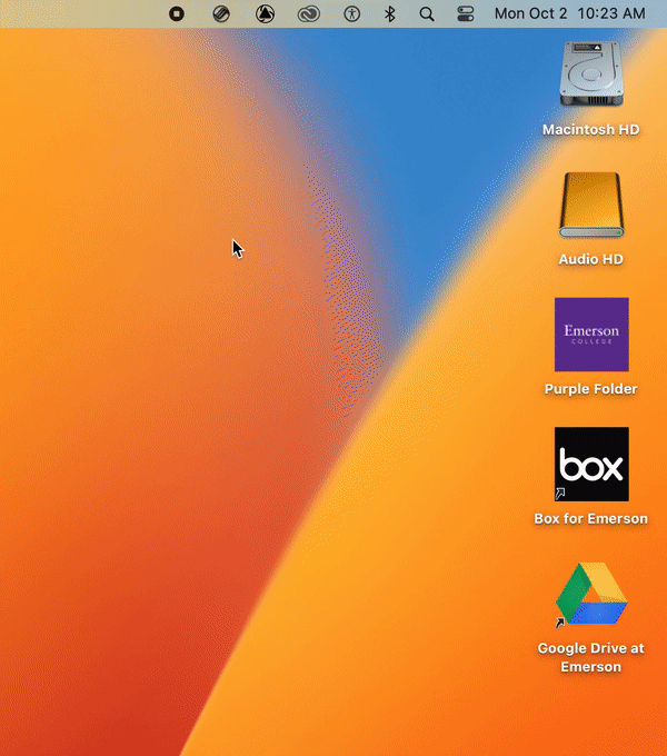 WS Auto.gif