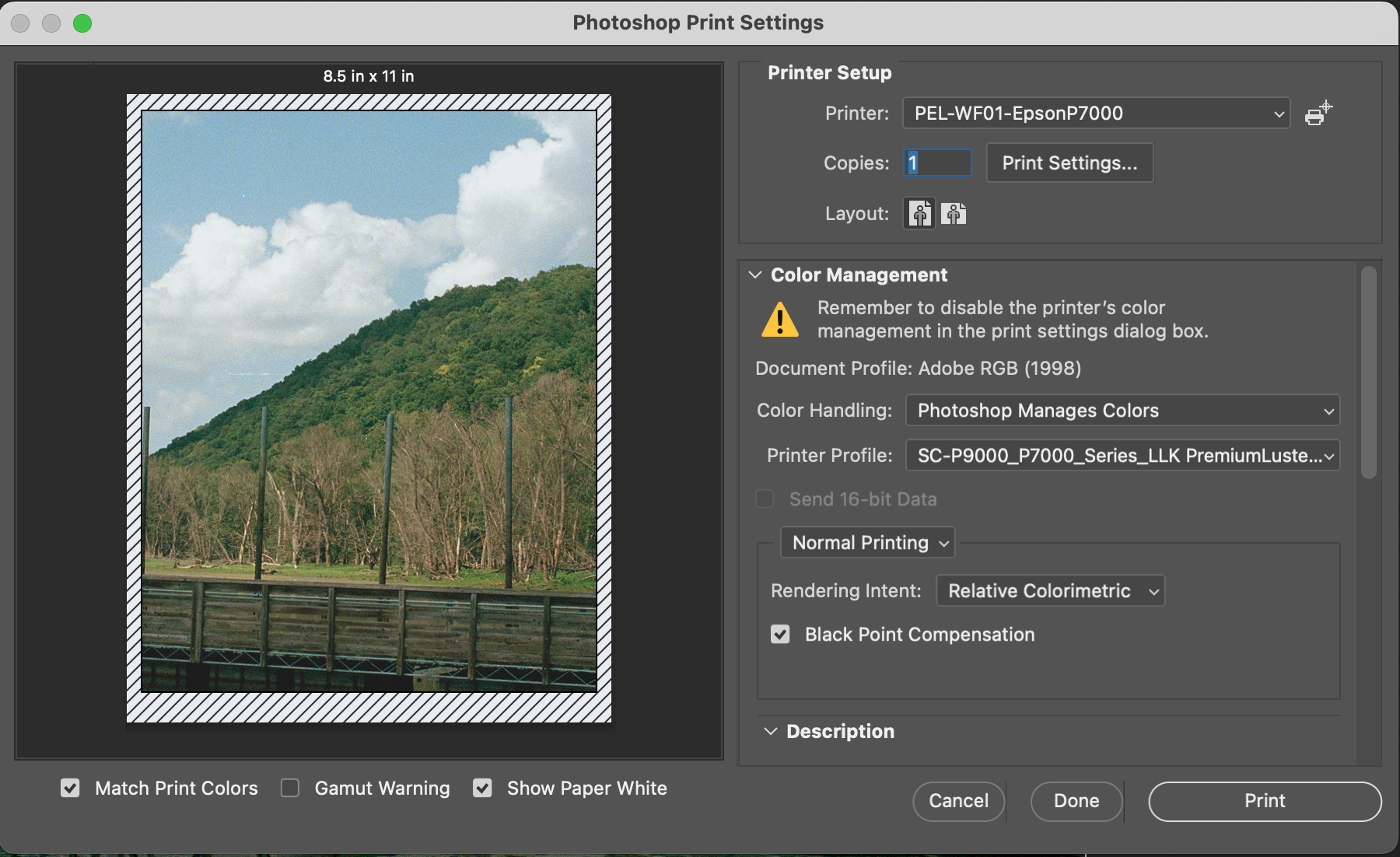 003_LargeFormatPrinting_PrinterSetup01.png