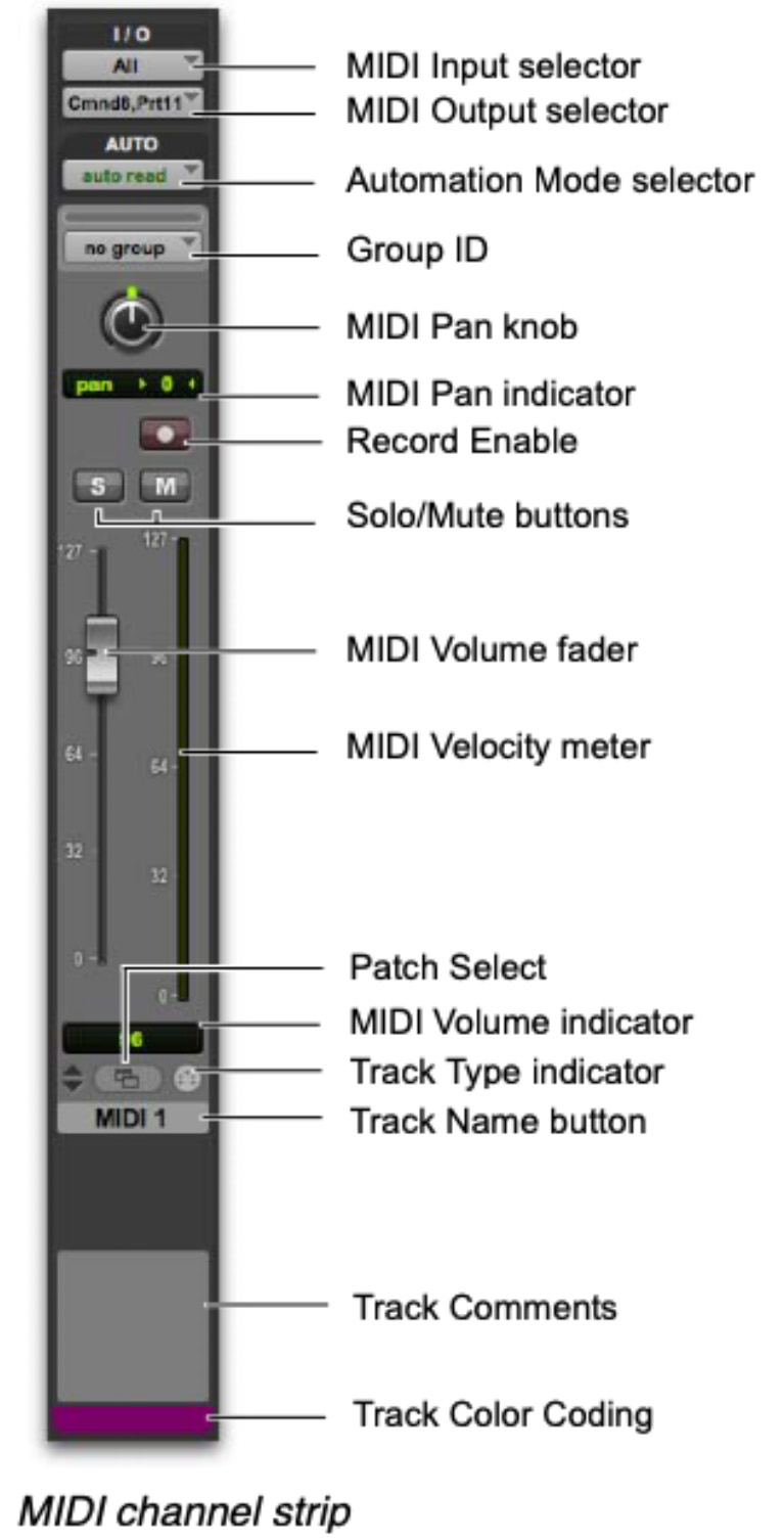 Midi_Track.jpg