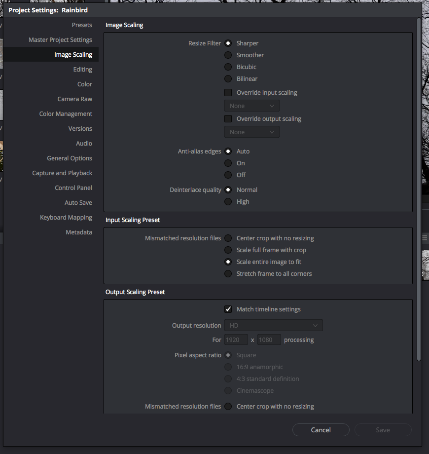 Resolve_ImageScaling.png