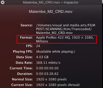 Identifying_Codec.jpg