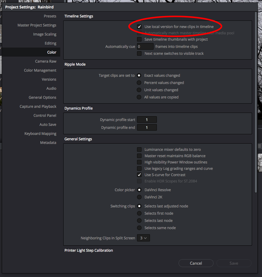Resolve_LocalVersions.png