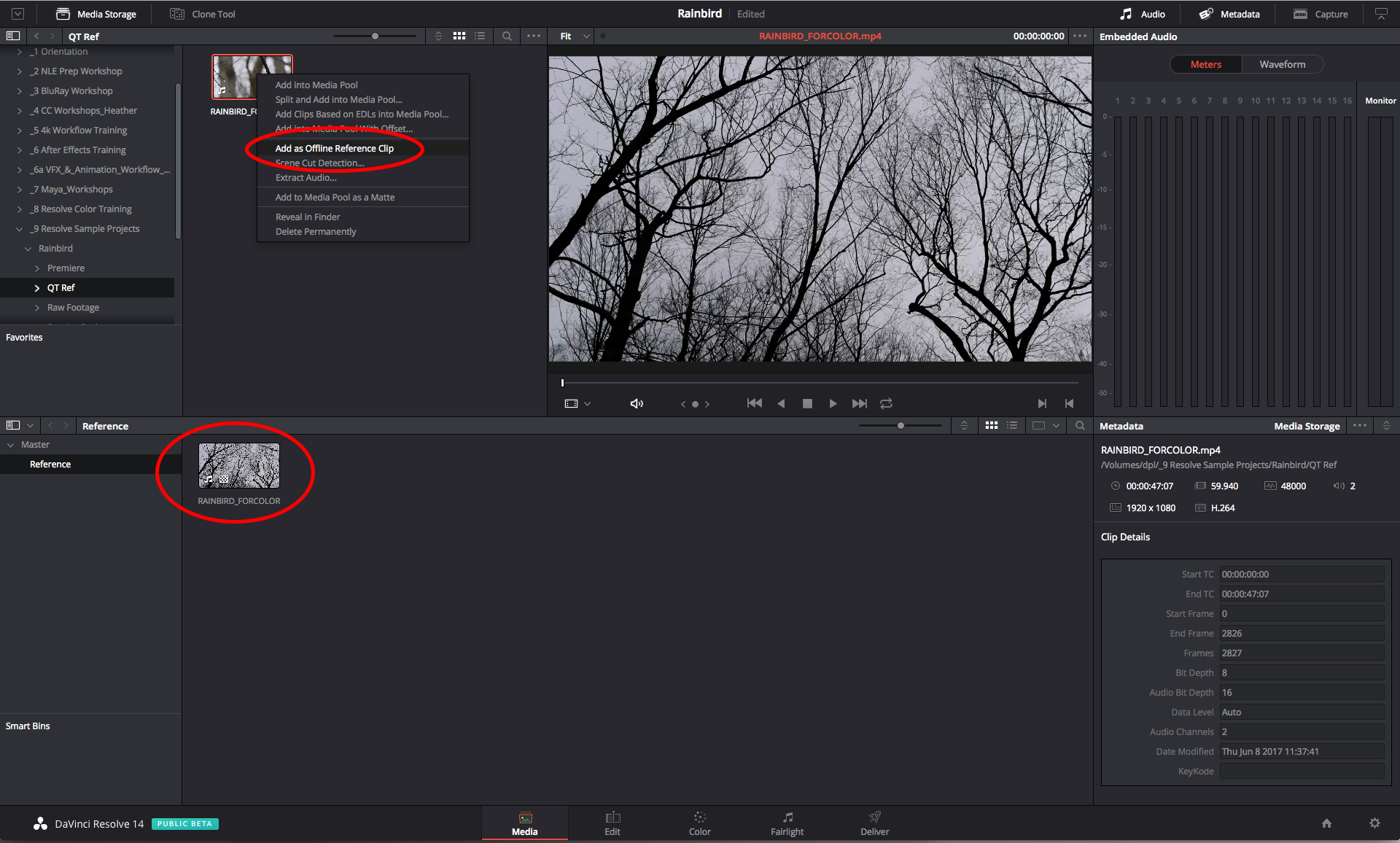Linking an Offline Reference Clip – Emerson College Technology &amp; Media