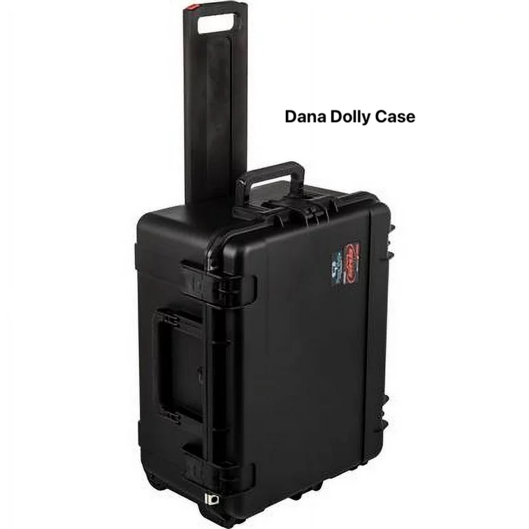 Dana case.jpg