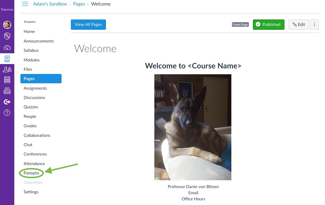 Find the Panopto link at the bottom of the lefthand Canvas course menu.