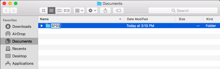 3._Rename_Folder_SPSS.png