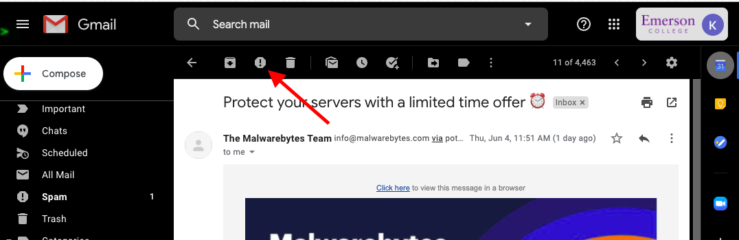 Report_Spam.png