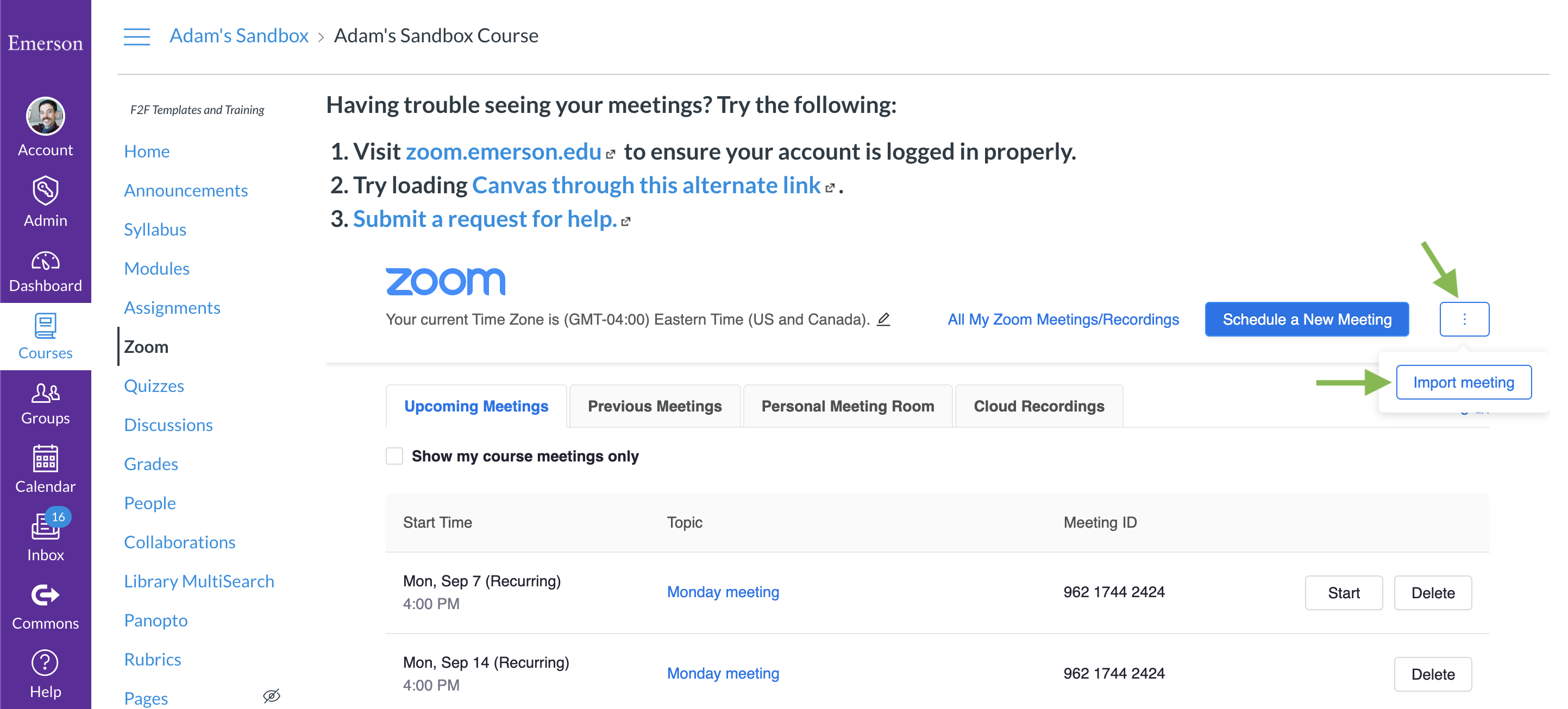 The Zoom tool in Canvas, with the three-dot button at top right and its dropdown item 'Import meeting' indicated with arrows.