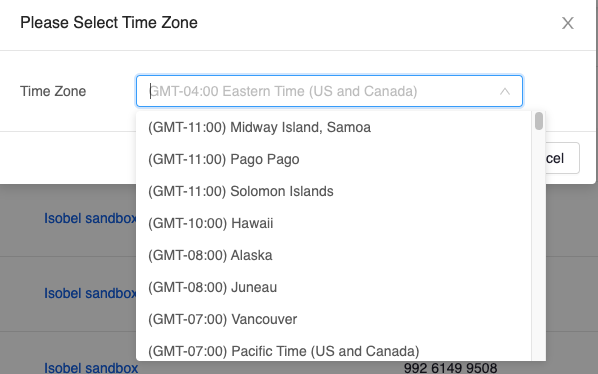 Screen shot that shows the box that appears after clicking the pencil icon to change one's Zoom in Canvas time zone