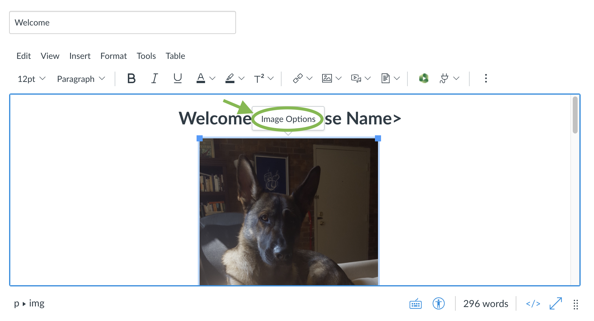 The editing screen for a Canvas page. An image is outlined in blue, and the Image Options button is circled.