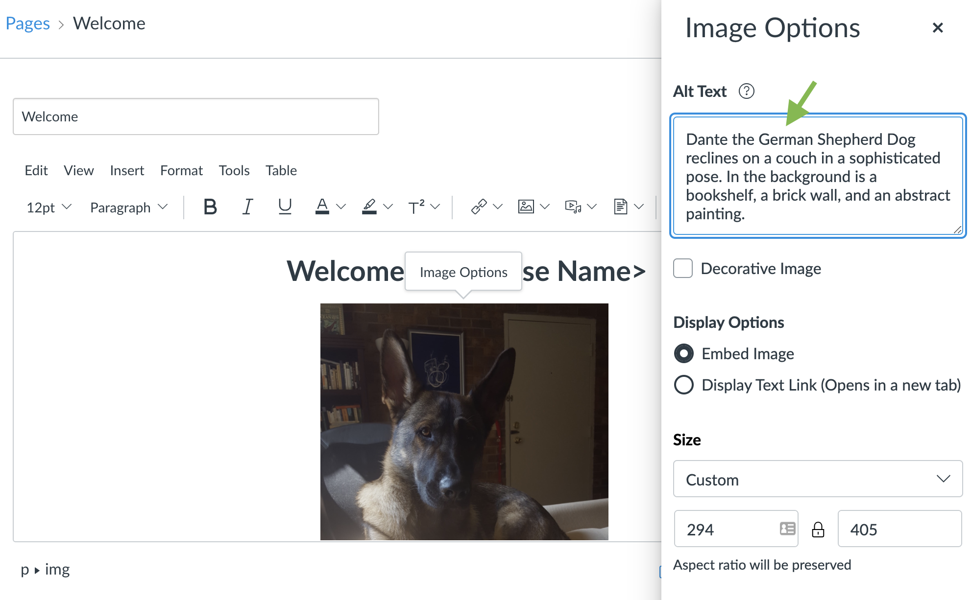 The Image Options panel in Canvas. It is a form with several text-entry fields and options. The Alt Text field is indicated with an arrow.