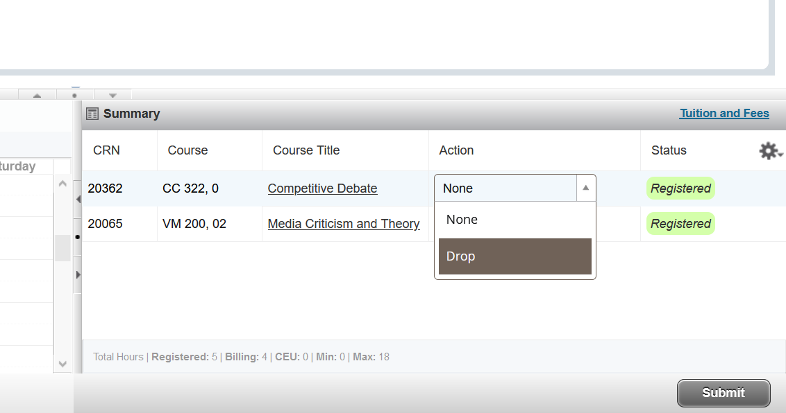 Screenshot of registration Summary and drop option being submitted