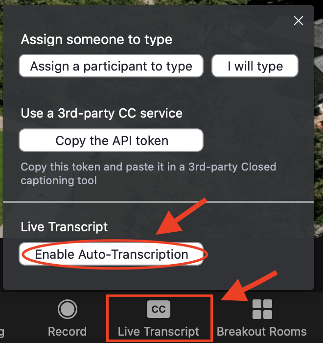 Screenshot of in-meeting Zoom controls clicking on Live Transcript then Enable Auto-Transcription.