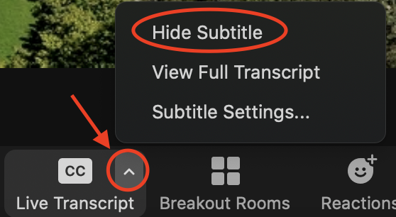 Screenshot of in-meeting Zoom controls clicking on the Live Transcript caret then on Hide Subtitle