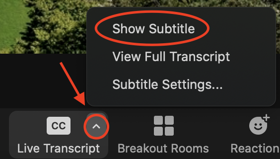 Screenshot of in-meeting Zoom controls clicking on the Live Transcript caret then on Show Subtitle