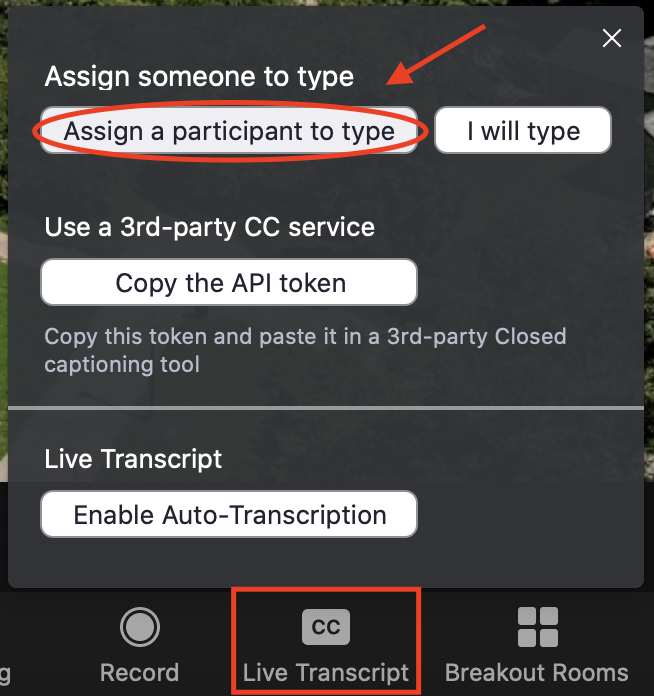 Screenshot of Zoom controls showing how to enable the option to assign a participant to type.