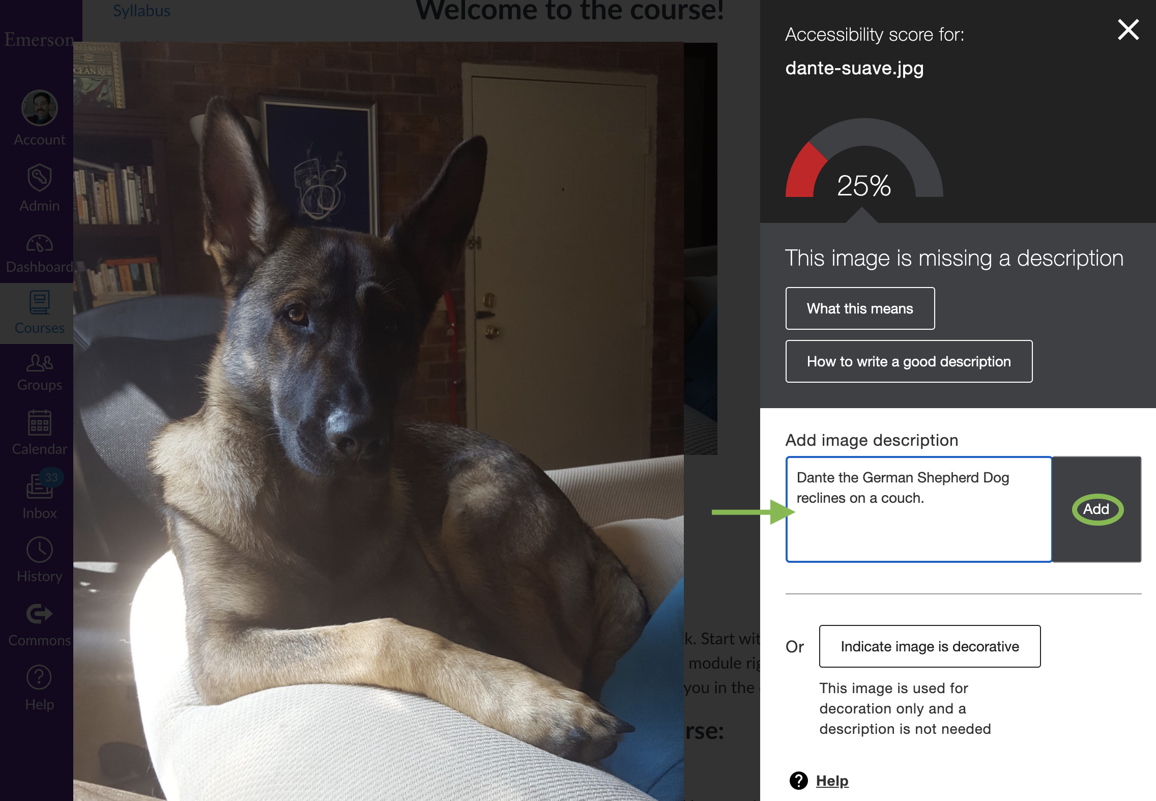 Ally's alt text entry interface. It consists of two panes: the left pane contains the image (here a dog on a couch); the right pane contains a text box and other options.