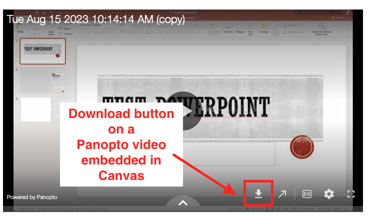 Download button on a Panopto video enabled in Canvas