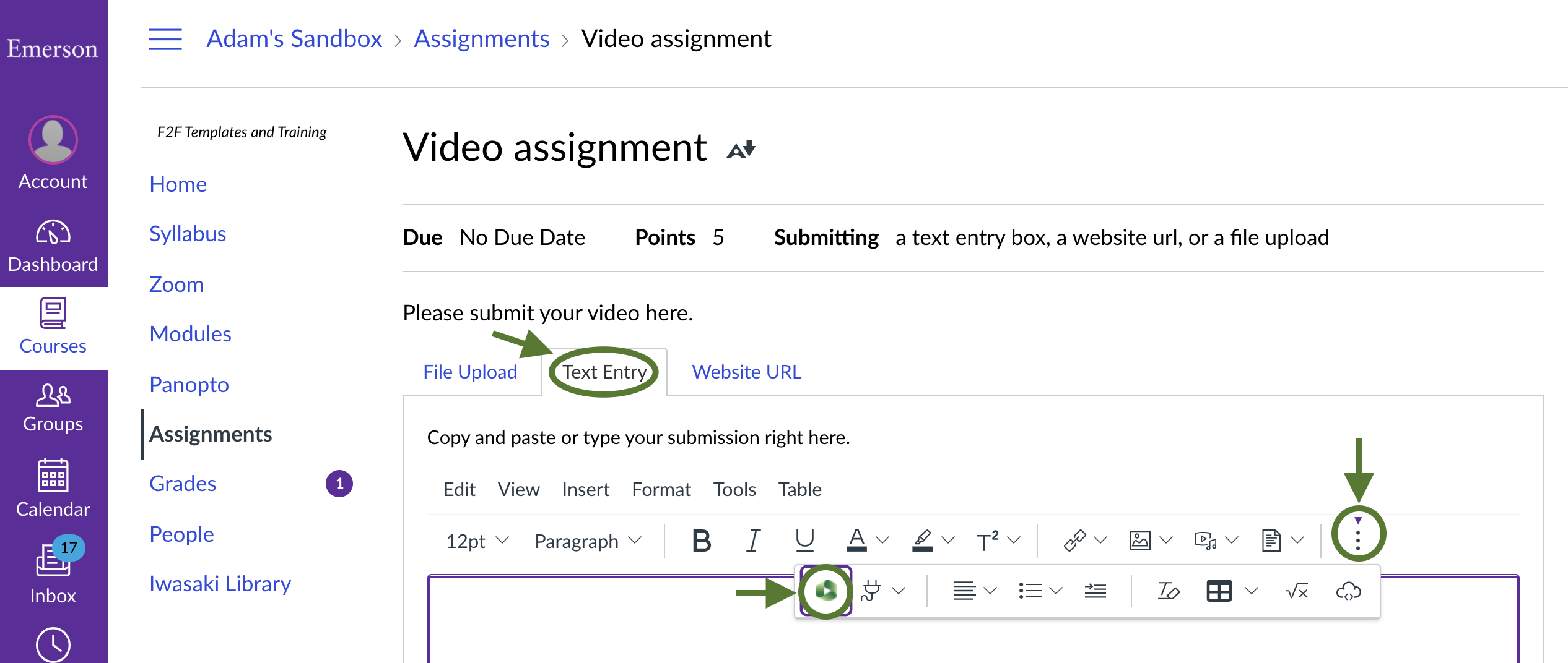 how to embed video in canvas assignment