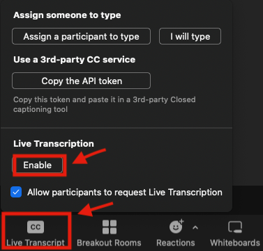 Screenshot of in-meeting Zoom controls clicking on Live Transcript then Enable.